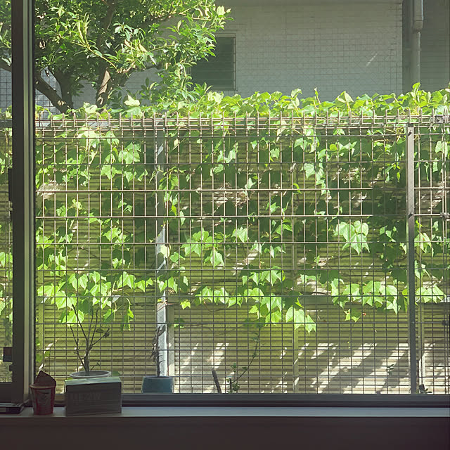 UG310さんの実例写真