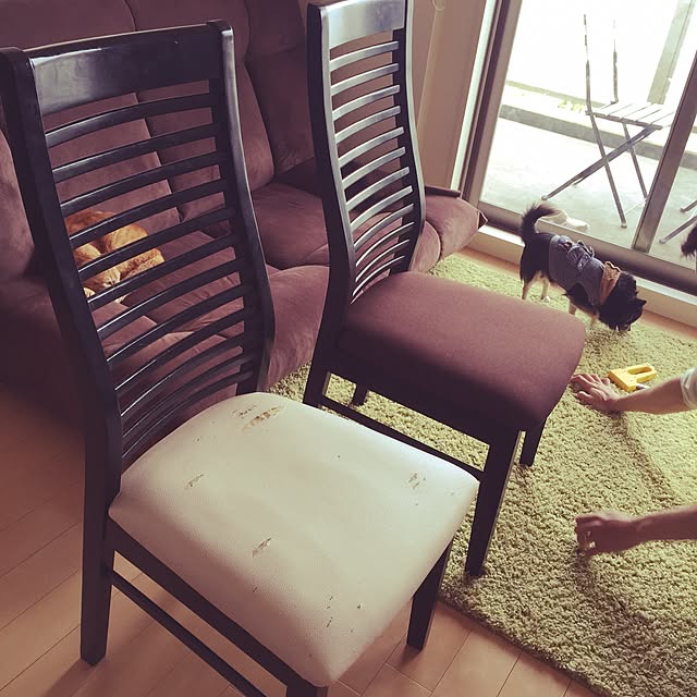 MY-mamaさんの実例写真