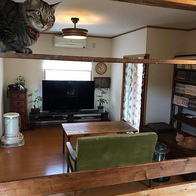 mikan161さんの実例写真