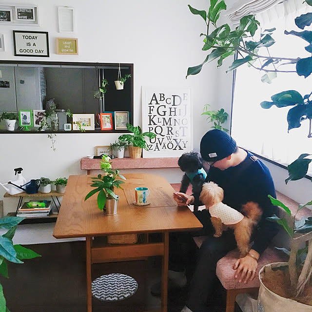 risaさんの実例写真