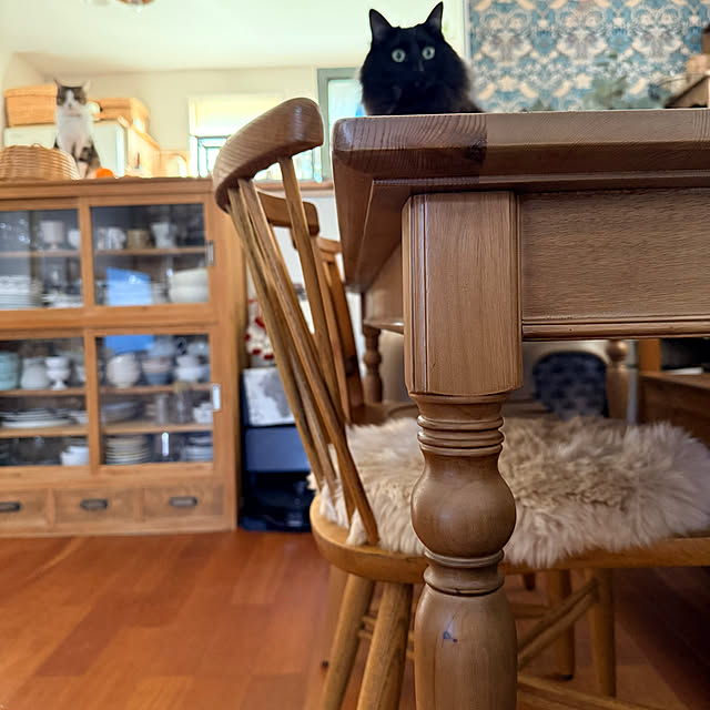 kokkomachaさんの部屋