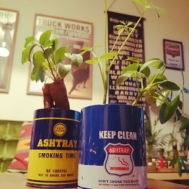 annyoshさんの実例写真