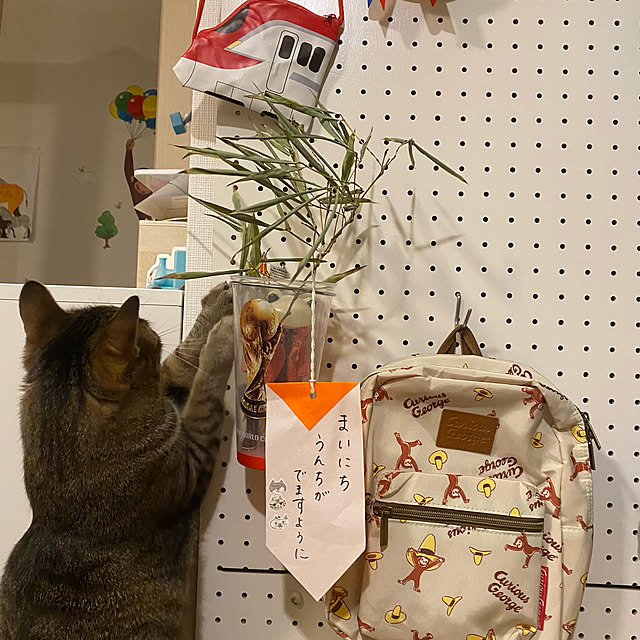 mikomaruさんの実例写真