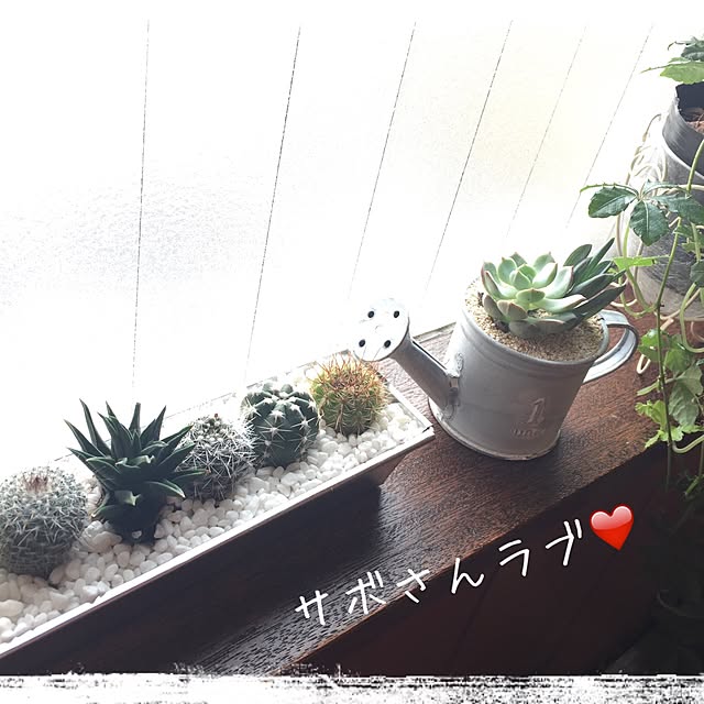 momonaさんの実例写真