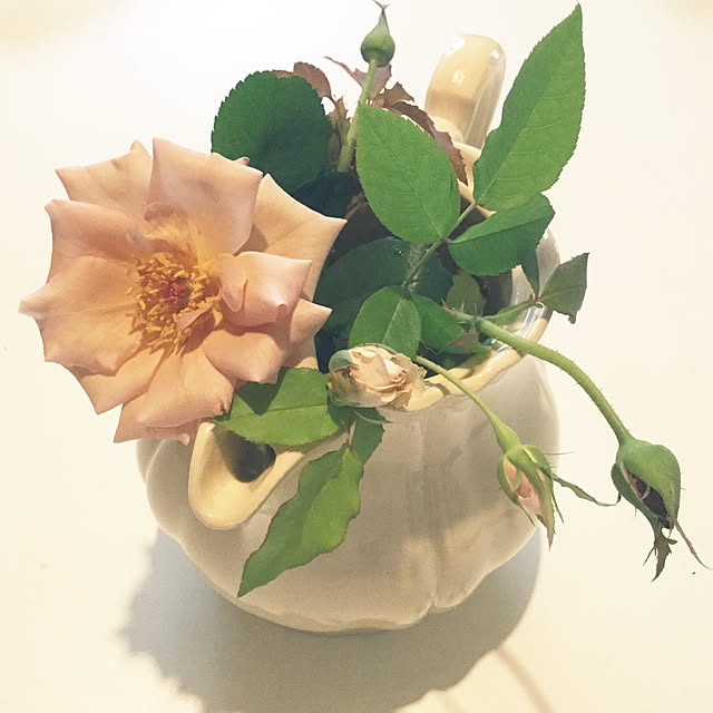 france_rose_laceさんの実例写真
