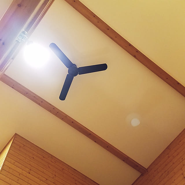 crapgreenさんの実例写真