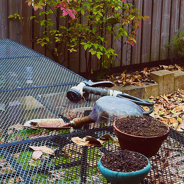 chacoさんの実例写真