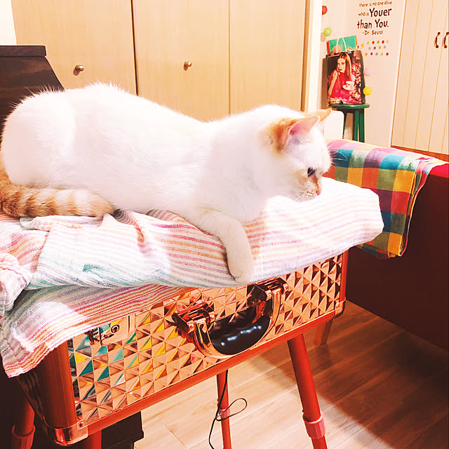 serinaさんの実例写真