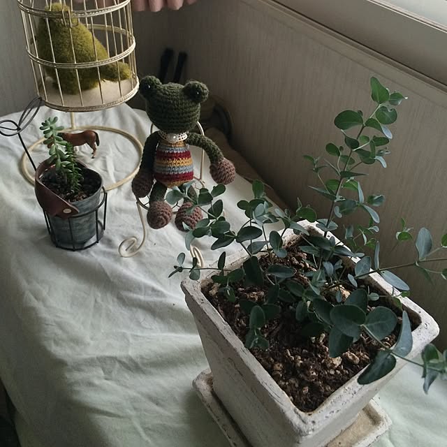 noncoさんの実例写真