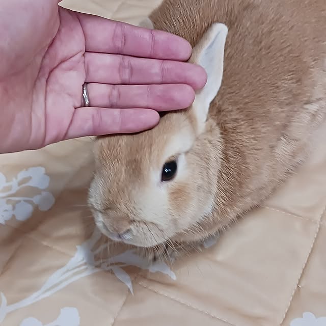 aiさんの部屋