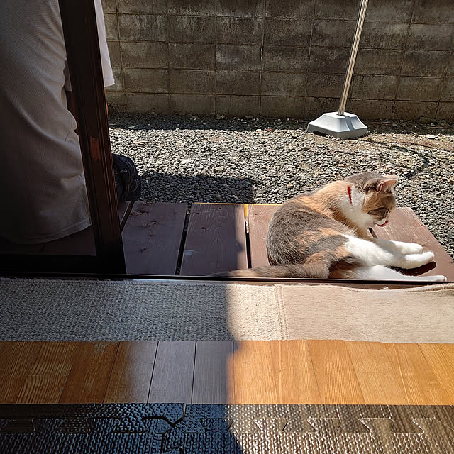 fukuさんの実例写真