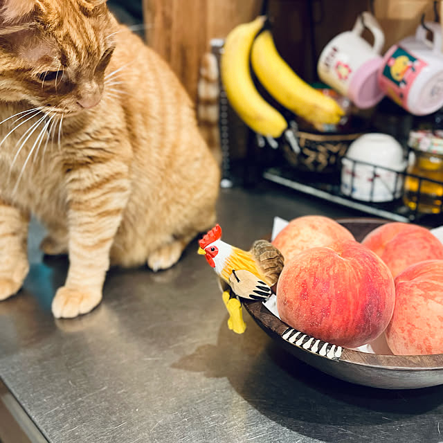 Maruさんの実例写真