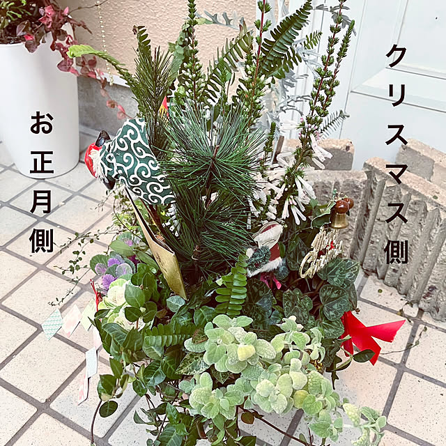 tararaさんの部屋