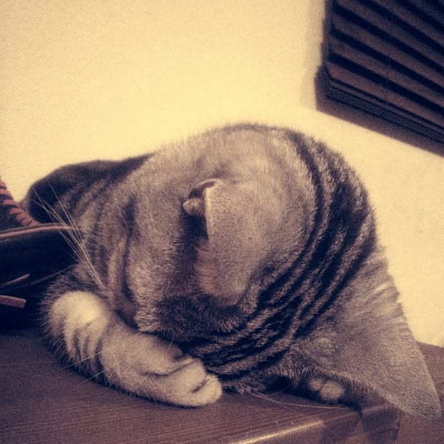 jnkaiさんの実例写真