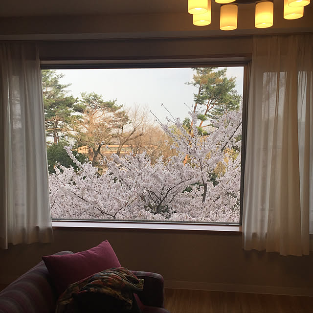 Andaluciaさんの実例写真