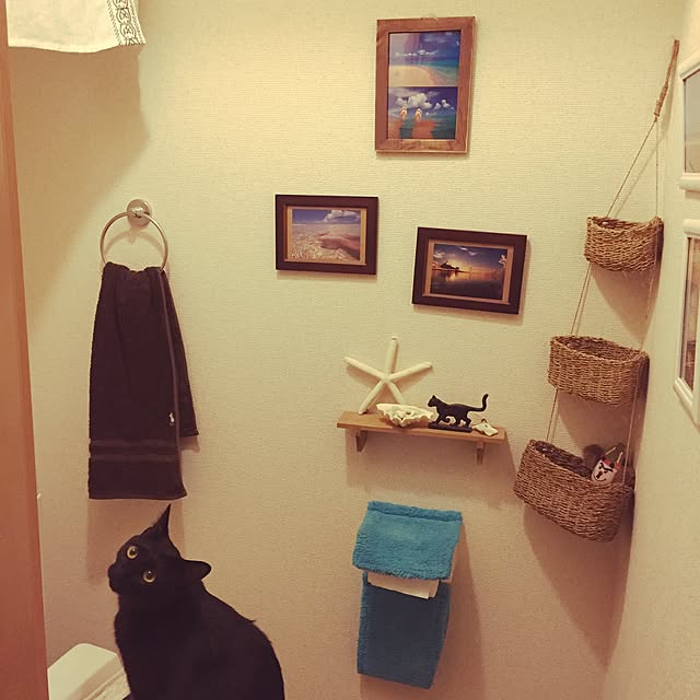 yumさんの実例写真