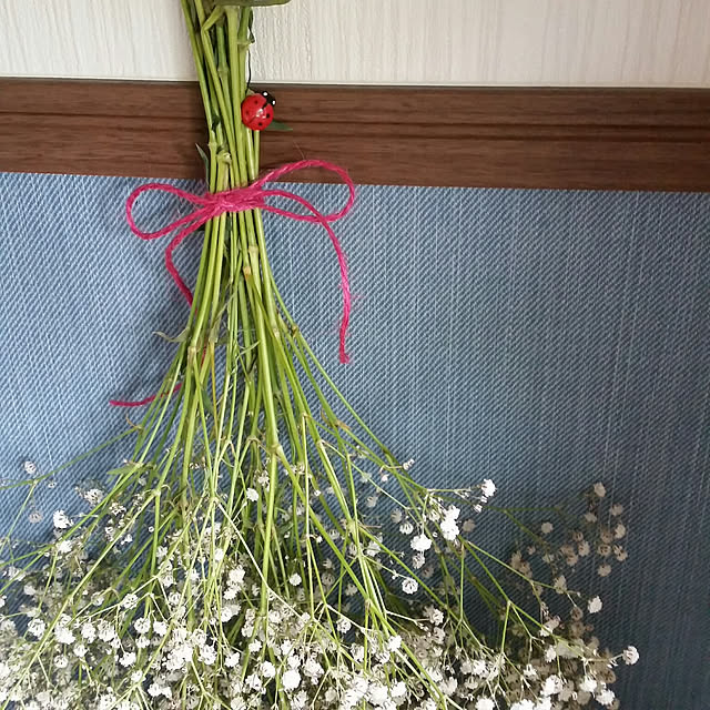 RAMIEさんの実例写真