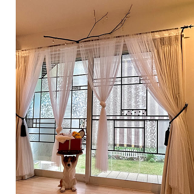 kittyさんの実例写真