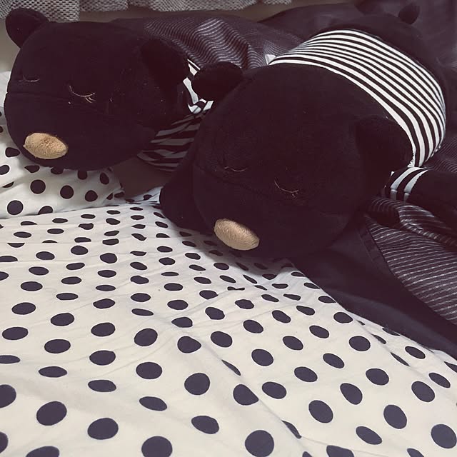 Chihiroさんの実例写真
