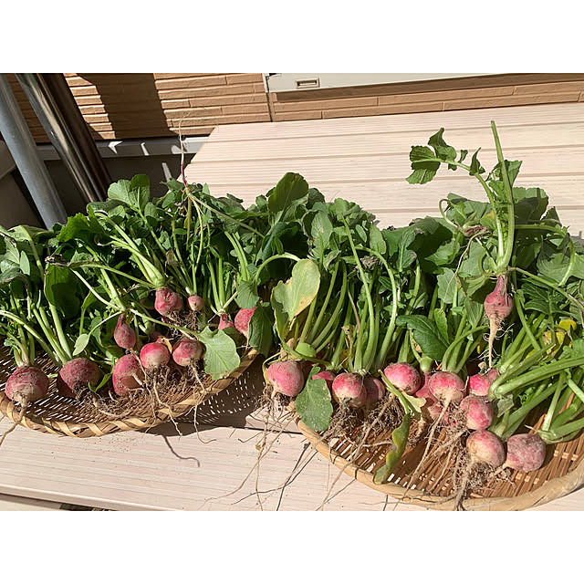 kaさんの実例写真