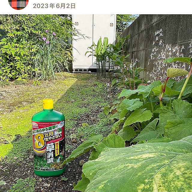 nobikoさんの部屋