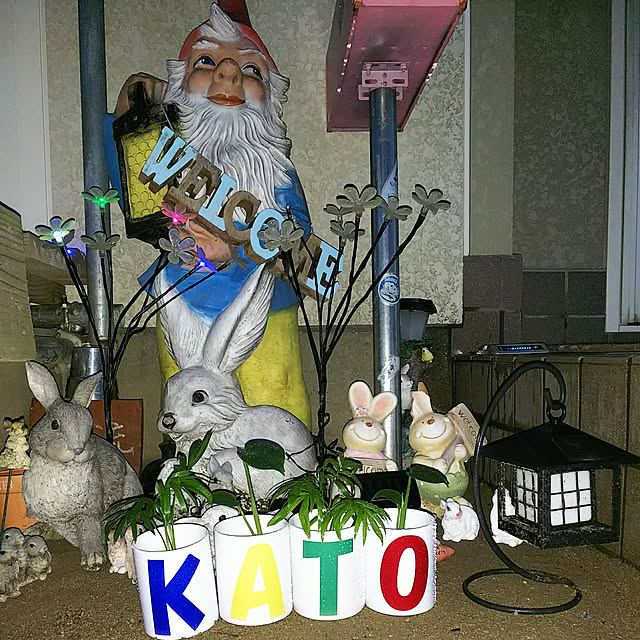 Mikaさんの実例写真
