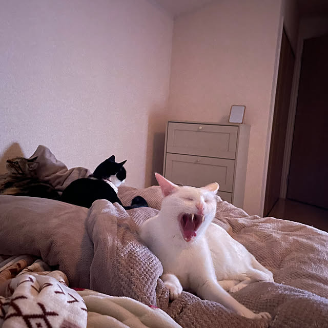 ruruさんの部屋