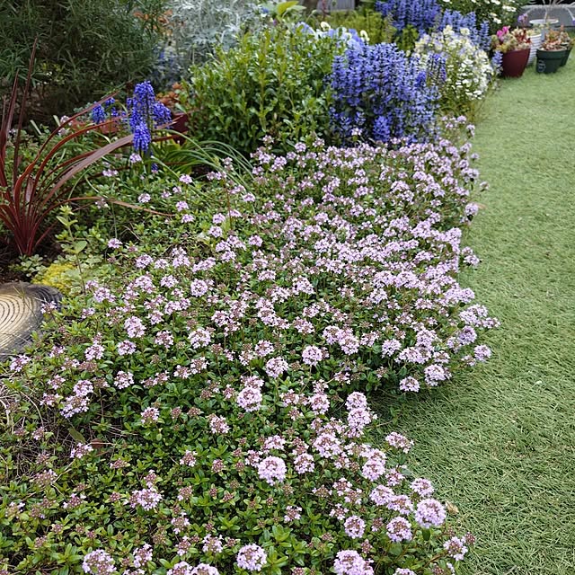 coconathuさんの実例写真