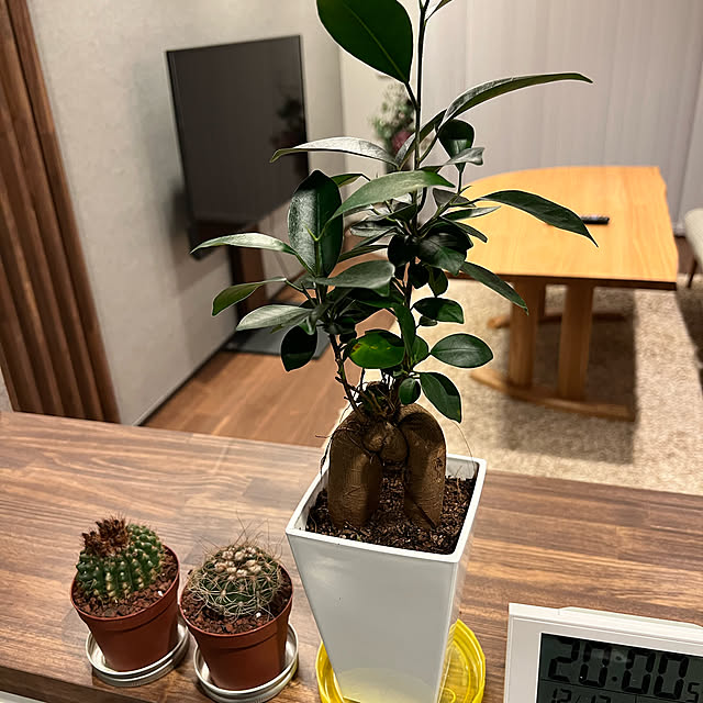 tomoさんの実例写真