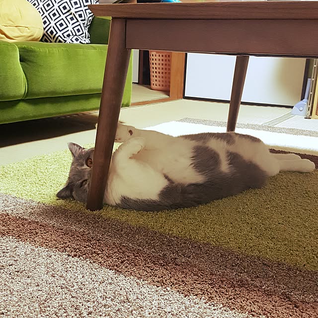 rhuさんの実例写真