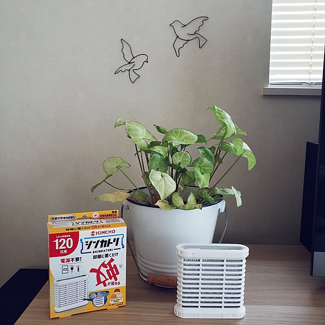 wanidaさんの実例写真