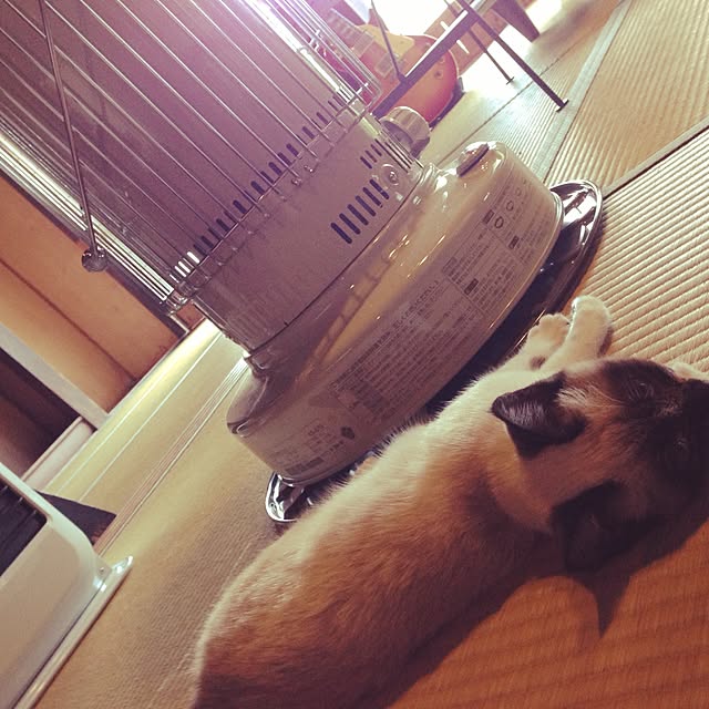 willsoldhouseさんの実例写真