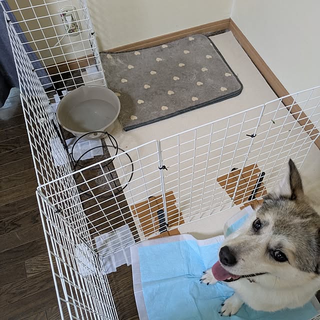 asaさんの部屋