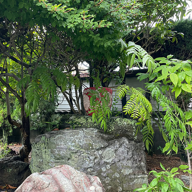 shin0719さんの実例写真