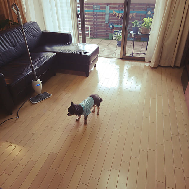 lovepeaceさんの実例写真