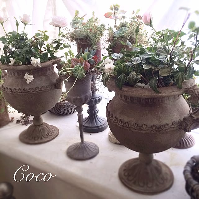 Cocoさんの実例写真
