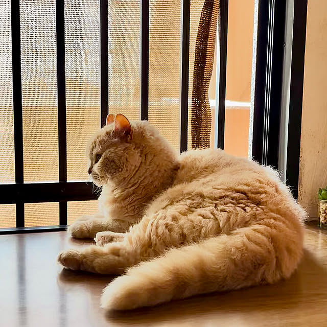 naokoさんの部屋