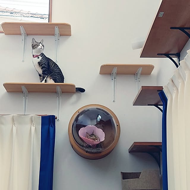 mochicoさんの部屋