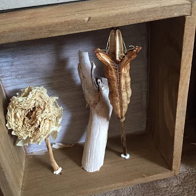 Norikoさんの実例写真