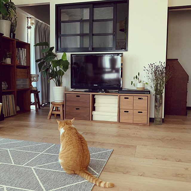 73さんの実例写真