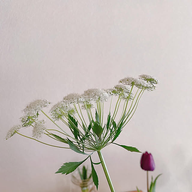 smallroomさんの実例写真
