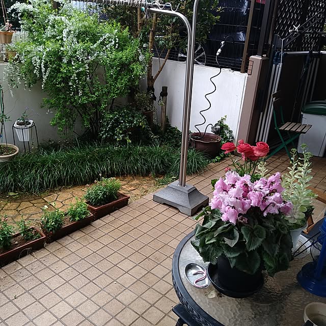 okyosan101さんの実例写真