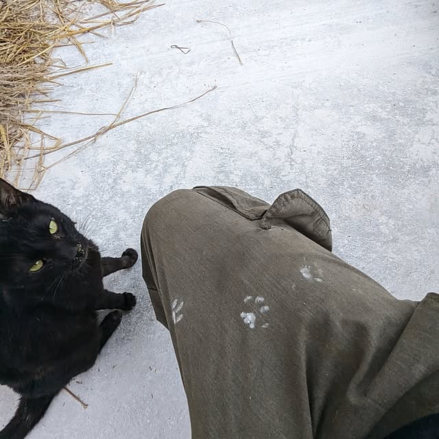 GINさんの部屋