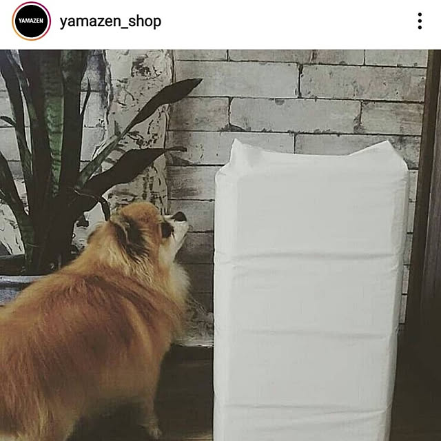 reksさんの実例写真