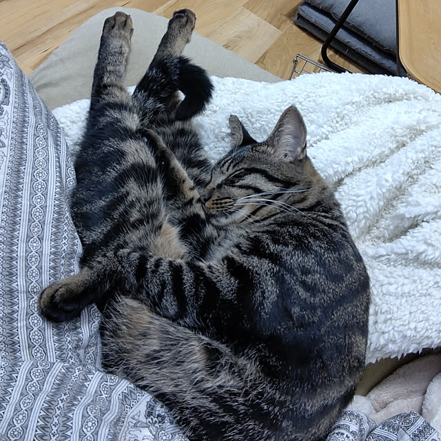 hihaさんの実例写真
