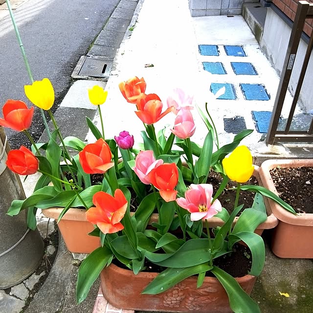 akichanさんの実例写真