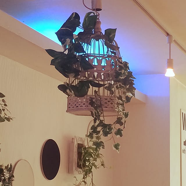 maiさんの実例写真