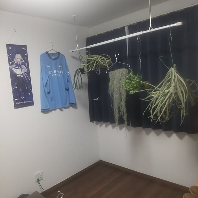 rhiplisさんの実例写真