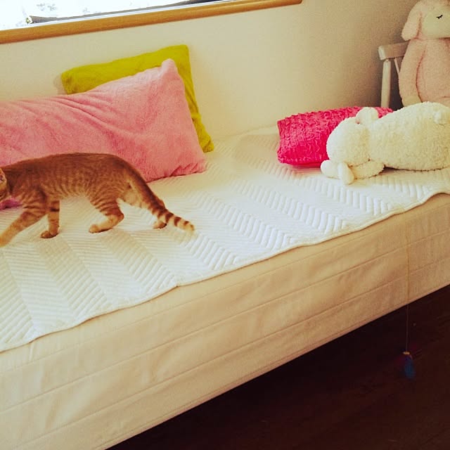 ベッド周りのインテリア実例 - 2014-09-02 00:14:59