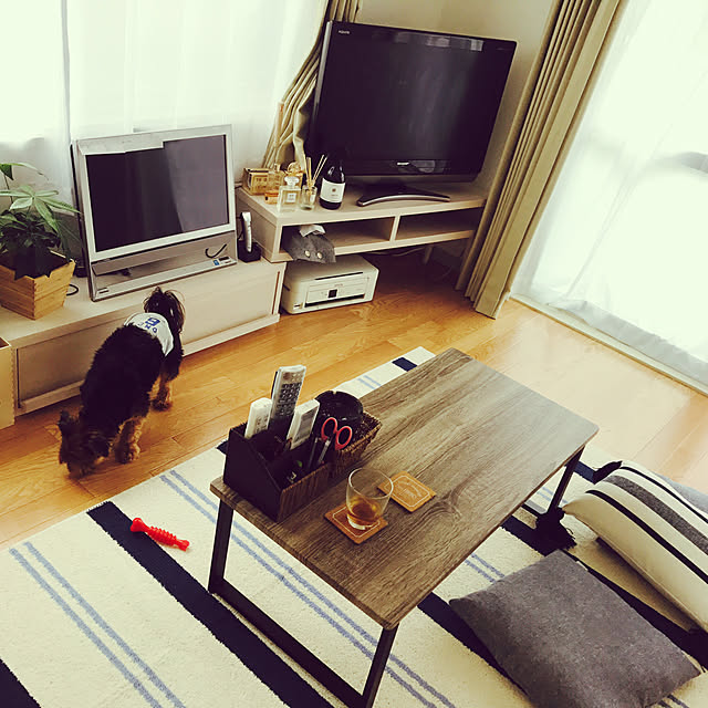 Renaさんの実例写真